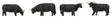 Image for 272-151957 Highland Cattle black /4