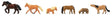 Image for 272-155910 Horses and Ponies /6