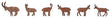 Image for 272-151913 Ibexes and Chamois