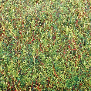 Image for 189-7221 Grass Mat 40x32" Spring
