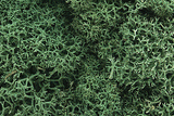 Woodland Scenics 162 Lichen - 1.5qts  1.4L -- Light Green A Scale