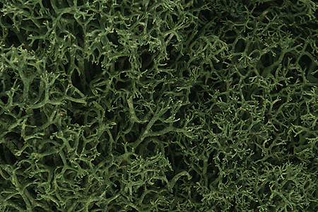 Woodland Scenics 163 Lichen - 1.5qts  1.4L -- Medium Green A Scale