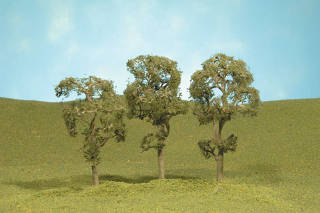 Image for 160-32011 Maple Trees 3-4" 3/