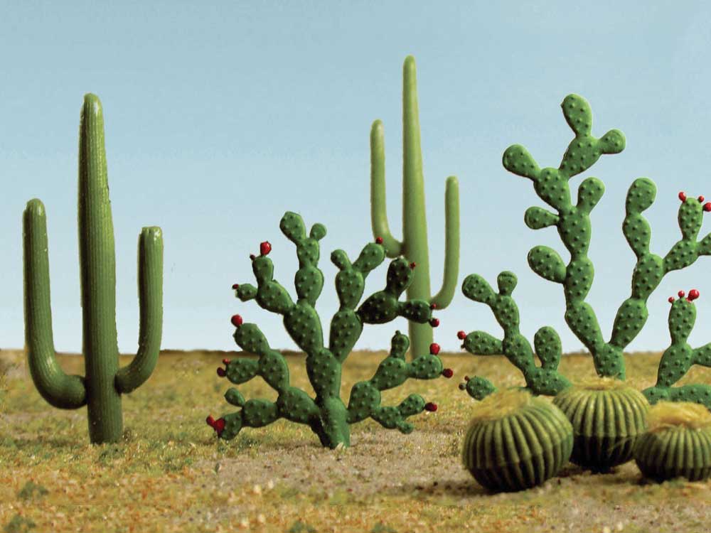 Image for 160-32513 Mixed Cacti .25-2.50" 15/