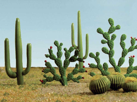 Image for 160-32513 Mixed Cacti .25-2.50" 15/