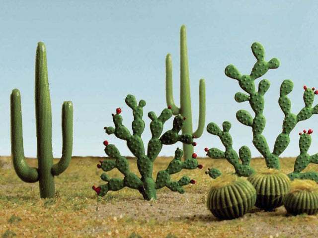 Image for 160-32513 Mixed Cacti .25-2.50" 15/