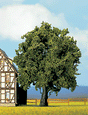 Image for 528-21760 Oak Tree 6-1/4