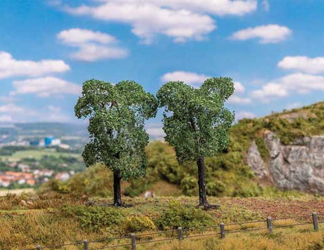 Image for 272-181802 2 Orchard Trees