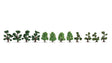 Image for 528-21546 Ornamental Bushes   12/