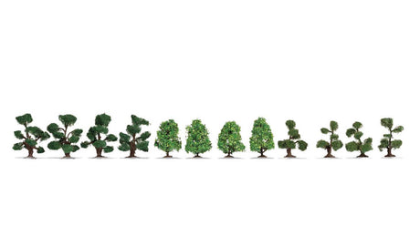 Image for 528-21546 Ornamental Bushes   12/