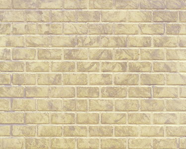 Image for 570-91621 Sht Cnc Blck .325" Bge 2/