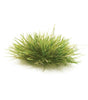 Image for 785-6627 All Game Tufts Dark Grn