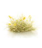 Image for 785-6630 All Game Tufts Ylw Seed