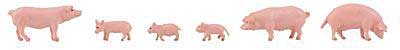 Image for 272-151910 Pigs