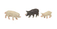Image for 738-267799 Pigs 3/