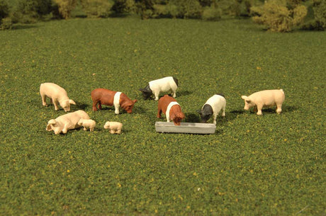 Image for 160-33118 Pigs 9/
