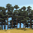 Image for 189-6141 Pine Tree 130 & 145mm 2/