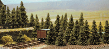Image for 189-6572 Pine Tree Set 3-6cm 60/