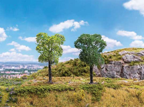 Image for 272-181803 2 Plum Trees