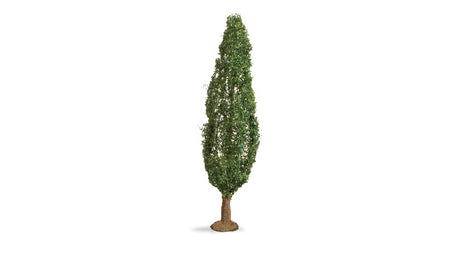 Image for 528-20130 Poplar Tree