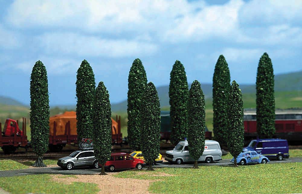 Image for 189-6239 Poplar trees          10/