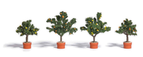 Image for 189-6619 Citrus Trees 4/