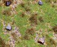 Image for 272-180476 Cntrysd Seg Meadow/Bouldr