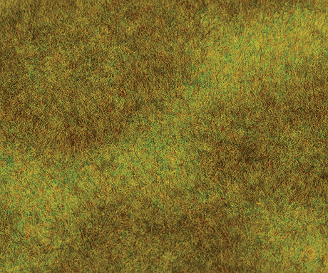 Image for 272-180489 Landscape Seg Meadow dark