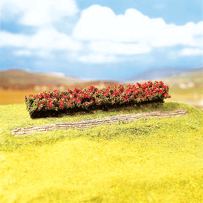 Image for 272-181352 Hedges Red-Blooming 3/