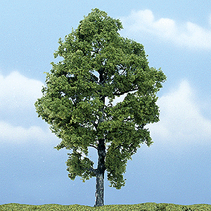 Image for 785-1623 Hickory Tree 5-3/4"