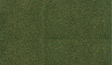 Image for 785-5173 Grass Roll 25x33" Forest
