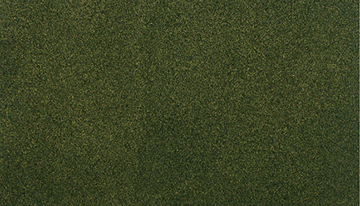 Woodland Scenics 5123 ReadyGrass(TM) Vinyl Mat - 50 x 100"  125 x 250cm -- Forest Grass A Scale
