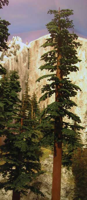Image for 295-T42 Redwood Sml 6-9" 2/