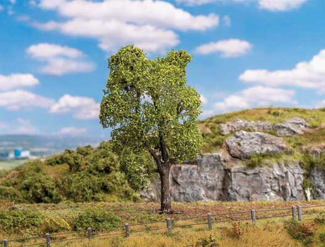 Image for 272-181703 Robinia/Black Locust Tree