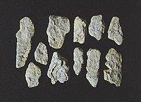 Woodland Scenics 1231 Rock Molds - 5 x 7"  12.7 x 17.7cm -- Surface Rocks A Scale