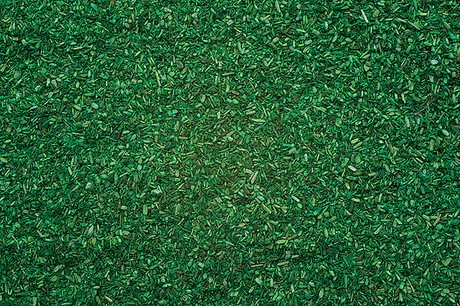 Image for 528-8470 Scttr Mtrl Forest     42g