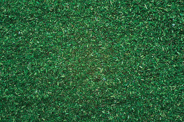 Image for 528-8470 Scttr Mtrl Forest     42g
