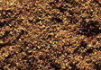 Image for 272-170705 Ground Cvr Sand Brn   1oz