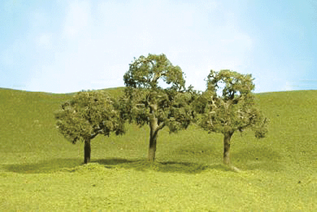 Image for 160-32107 Walnut Trees 2-2.25" 4/