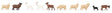Image for 272-151921 Sheep and Goats 10/