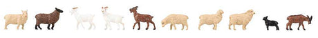 Image for 272-151921 Sheep and Goats 10/