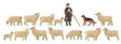 Image for 272-151901 Sheep Farming