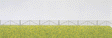 Image for 590-17604 Shepherds' Fences 20/