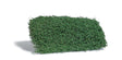 Image for 189-3598 Shrubs Summer