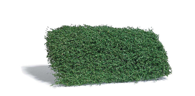 Image for 189-3598 Shrubs Summer