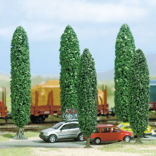 Image for 189-6228 Silver Poplar 95mm 5/