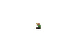 Image for 528-10411 Trumpeter