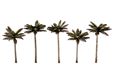 Woodland Scenics 3597 Small Palm Trees - Woodland Classics(TM) Ready Made Trees(TM) -- 3 to 3-3/4"  7.6 to 9.5cm pkg(5) A Scale