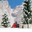 Image for 189-7818 Snowmobiler