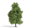 Image for 189-3741 Aspen Spring 150mm